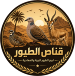 logo-qanas